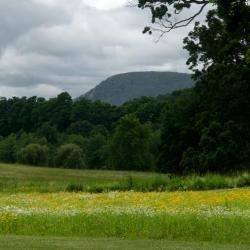 Darrel Morrison, Storm King Art Center, 2015<br />
Mark di Suvero,&nbsp;<em>Jeanne,&nbsp;</em>2014-15<br />
Mark di Suvero,&nbsp;<em>Pyramidian,&nbsp;</em>1987/1998 (installation view, 2015)