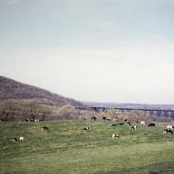 STAR Expansion Company, Mountainville, N.Y.