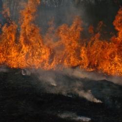 Controlled burn of native grasses, Storm King Art Center, 2012<br />
Mark di Suvero,&nbsp;<em>Pyramidian,&nbsp;</em>1987/1998<br />
Mark di Suvero,&nbsp;<i>Beethoven's Quartet,&nbsp;</i>2003<br />
Mark di Suvero<em>, Mon P&egrave;re, Mon P&egrave;re, </em>1973-75<br />
Mark di Suvero,&nbsp;<em>Mother Peace, </em>1969-70 (installation view, 2012)