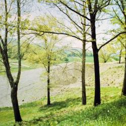 East hillside, Storm King Art Center, 1979-1980