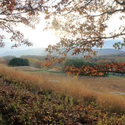 Darrel Morrison, Maya Lin, John P. Stern, Mike Seaman, Storm King Art Center, 2012