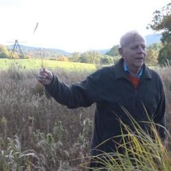 Native grasses and wildflowers, Storm King Art Center, 2011<br />
Maya Lin,&nbsp;<em>Wavefield,&nbsp;</em>2007-08<br />
(installation view, 2011)
