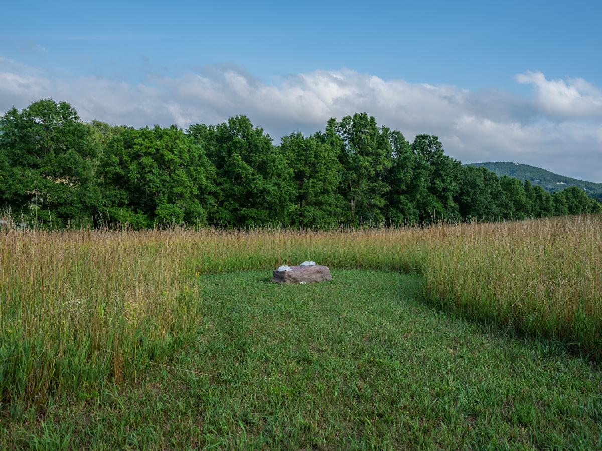 Martha Tuttle, <em>A stone that thinks of Enceladus, </em>2020<br />
(installation view, 2020)