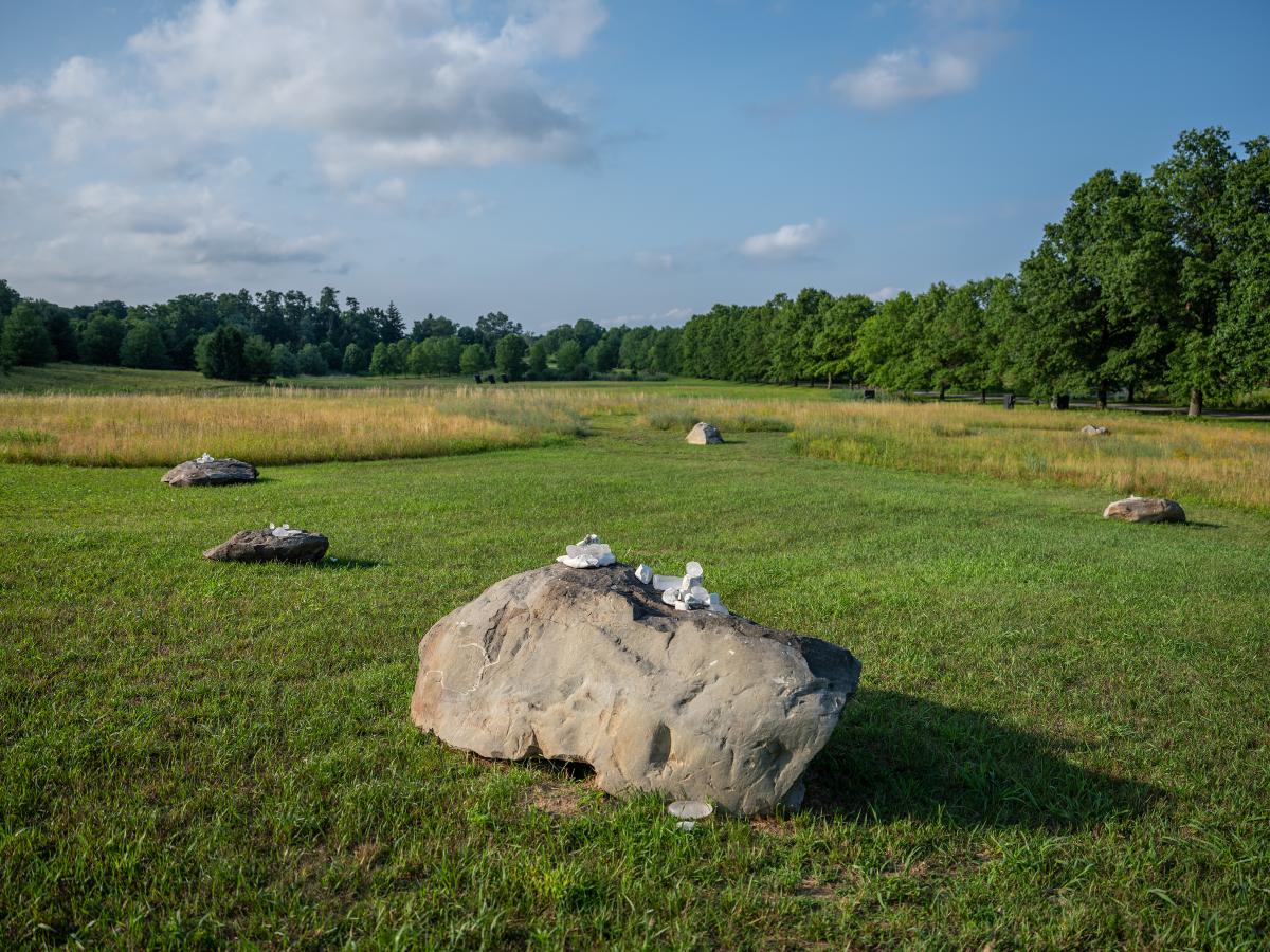 Martha Tuttle, <em>A stone that thinks of Enceladus, </em>2020<br />
(installation view, 2020)