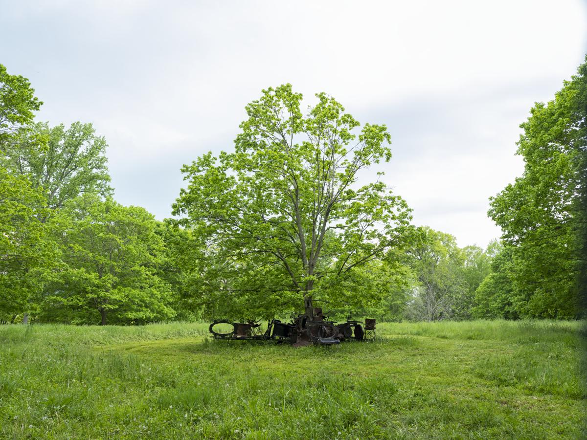 Brandon Ndife, <em>Shade Tree </em>(installation view, 2022) 