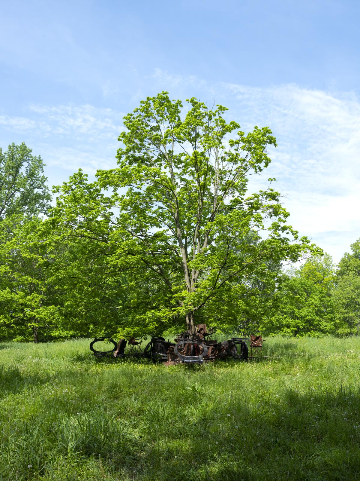 Brandon Ndife, <em>Shade Tree </em>(installation view, 2022) 