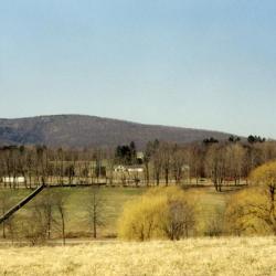 Sarah Sze,&nbsp;<i>Fallen Sky</i>, 2021; <em>Ionic Columns</em>, 1963, Storm King Art Center (installation view, 2022)