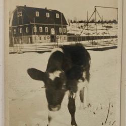 Orsbee Farm, Mountainville, N.Y.