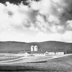 Glenoden Farms, Mountainville, N.Y.
